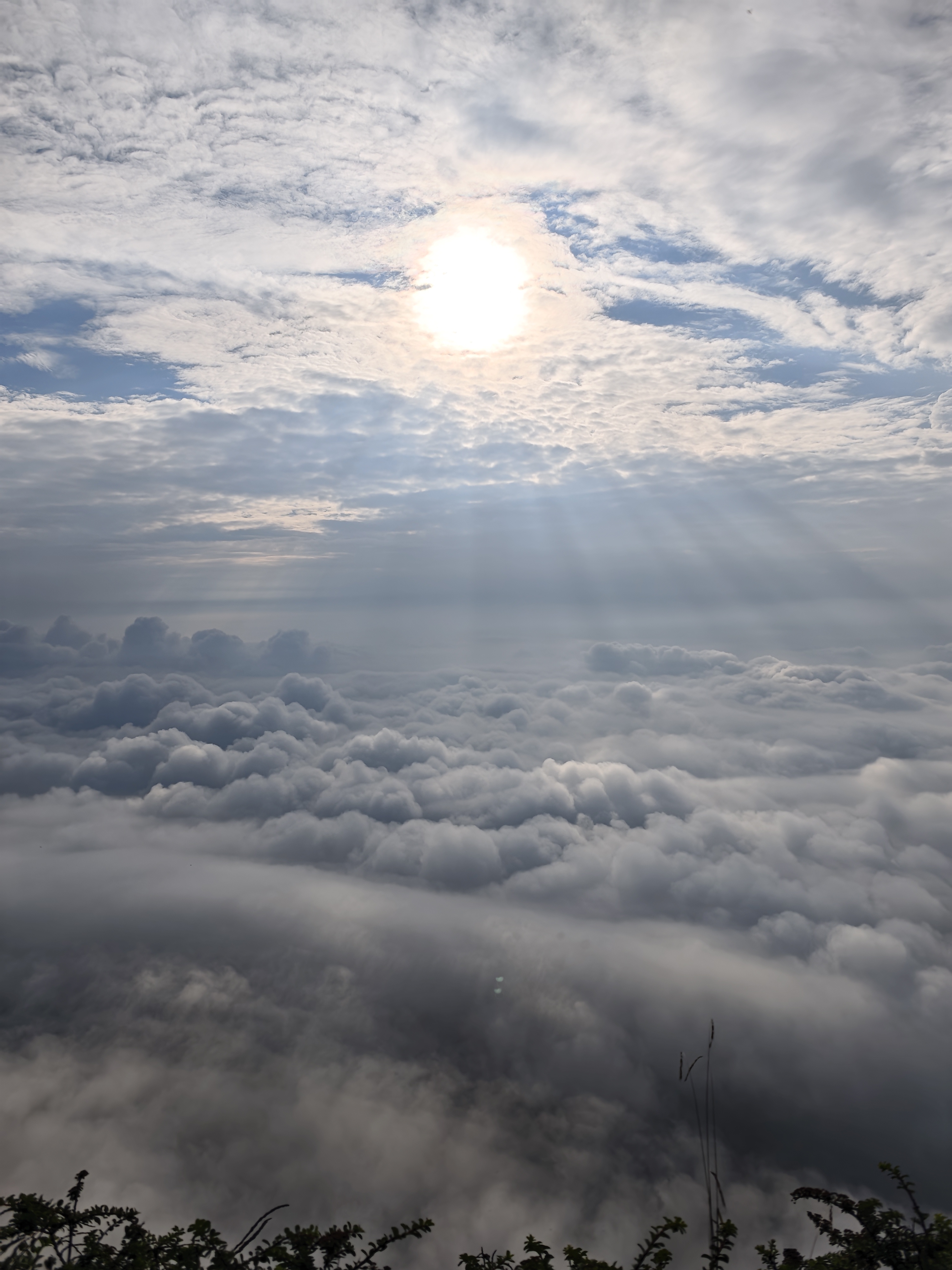 艳母